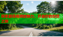 探索蘑菇视频的魅力，开启你的创意之旅