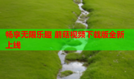 畅享无限乐趣 蘑菇视频下载版全新上线