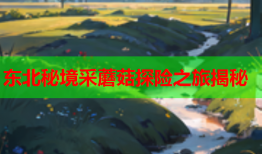 东北秘境采蘑菇探险之旅揭秘
