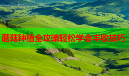 蘑菇种植全攻略轻松学会丰收技巧