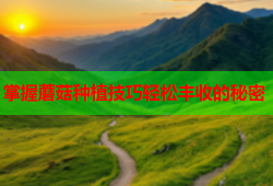 掌握蘑菇种植技巧轻松丰收的秘密