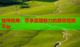 独特视角，尽享直播魅力的蘑菇视频平台