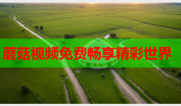 蘑菇视频免费畅享精彩世界