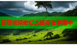 蘑菇视频奇幻之旅尽在掌握中