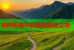 森林秘境中的蘑菇探险之旅
