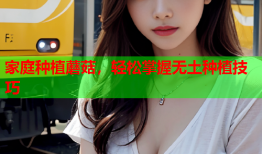 家庭种植蘑菇，轻松掌握无土种植技巧