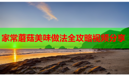 家常蘑菇美味做法全攻略视频分享