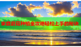 家庭蘑菇种植全攻略轻松上手的秘诀