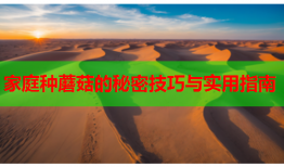 家庭种蘑菇的秘密技巧与实用指南