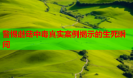 警惕蘑菇中毒真实案例揭示的生死瞬间