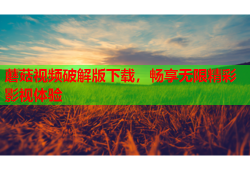 蘑菇视频破解版下载，畅享无限精彩影视体验