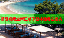 蘑菇视频全新正版下载体验尽在指尖