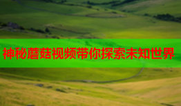神秘蘑菇视频带你探索未知世界