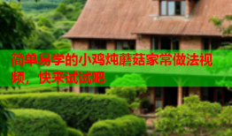 简单易学的小鸡炖蘑菇家常做法视频，快来试试吧