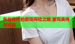 东北森林的蘑菇探险之旅 发现美味与惊喜