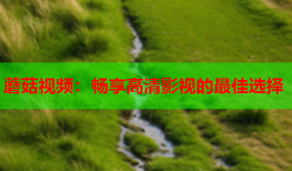 蘑菇视频：畅享高清影视的最佳选择