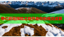 奇幻蘑菇探险之旅开启你的视觉盛宴