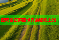 探索奇幻蘑菇世界的秘密之旅