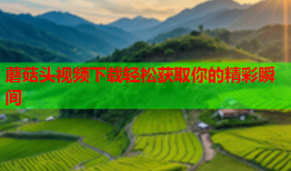 蘑菇头视频下载轻松获取你的精彩瞬间