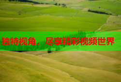 独特视角，尽享精彩视频世界
