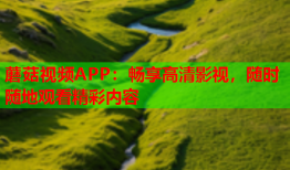 蘑菇视频APP：畅享高清影视，随时随地观看精彩内容