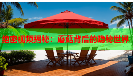 绝密视频揭秘：蘑菇背后的隐秘世界
