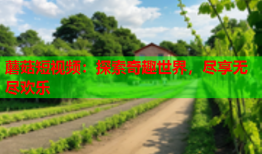 蘑菇短视频：探索奇趣世界，尽享无尽欢乐