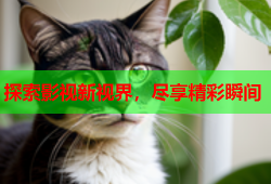 探索影视新视界，尽享精彩瞬间