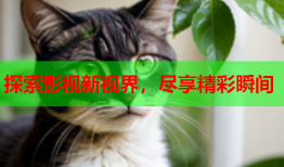 探索影视新视界，尽享精彩瞬间
