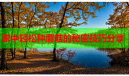 家中轻松种蘑菇的秘密技巧分享