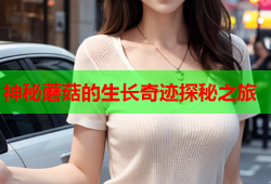 神秘蘑菇的生长奇迹探秘之旅