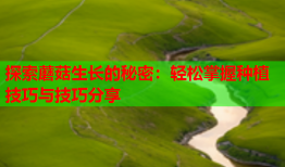 探索蘑菇生长的秘密：轻松掌握种植技巧与技巧分享