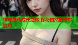 神奇蘑菇成长之旅 探秘自然的奇妙变幻