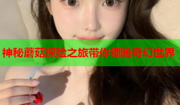 神秘蘑菇探险之旅带你领略奇幻世界