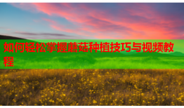 如何轻松掌握蘑菇种植技巧与视频教程