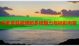 探索蘑菇视频的多样魅力与精彩内容