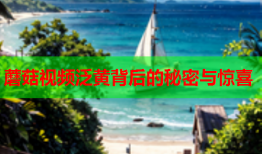 蘑菇视频泛黄背后的秘密与惊喜