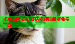 畅享无限精彩 蘑菇视频破解版免费下载