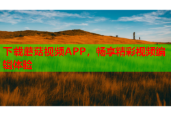 下载蘑菇视频APP，畅享精彩视频编辑体验