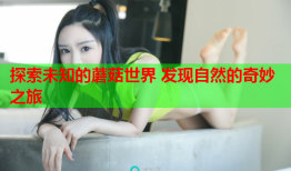 探索未知的蘑菇世界 发现自然的奇妙之旅