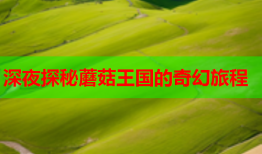 深夜探秘蘑菇王国的奇幻旅程
