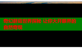 奇幻蘑菇世界探秘 让你大开眼界的自然奇观