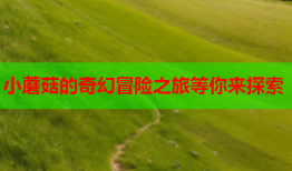 小蘑菇的奇幻冒险之旅等你来探索