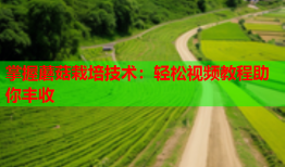 掌握蘑菇栽培技术：轻松视频教程助你丰收