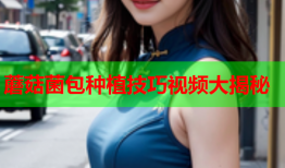 蘑菇菌包种植技巧视频大揭秘