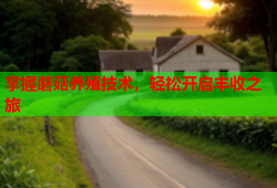 掌握蘑菇养殖技术，轻松开启丰收之旅