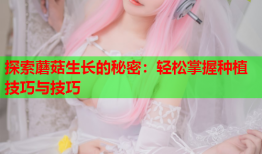 探索蘑菇生长的秘密：轻松掌握种植技巧与技巧