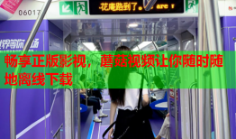 畅享正版影视，蘑菇视频让你随时随地离线下载