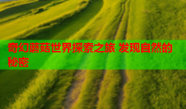 奇幻蘑菇世界探索之旅 发现自然的秘密