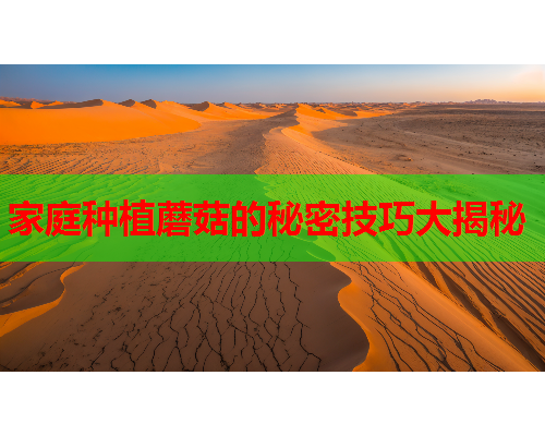 家庭种植蘑菇的秘密技巧大揭秘